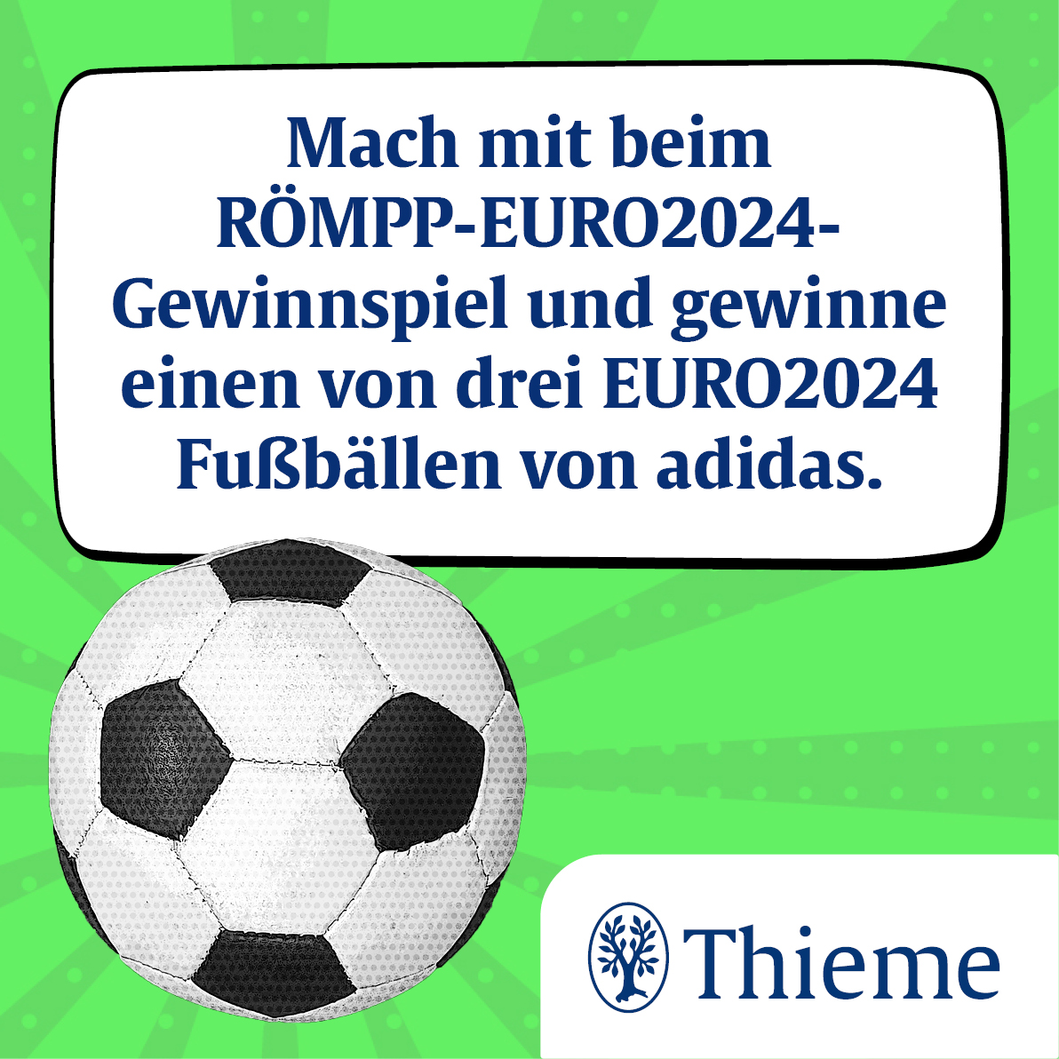 Banner RÖMPP Euro2024 Gewinnspiel